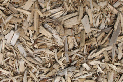 biomass boilers Kepnal
